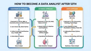 How to Become a Data Analyst After 12th Commerce